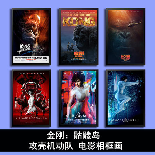 一比一仿捷克护照样本